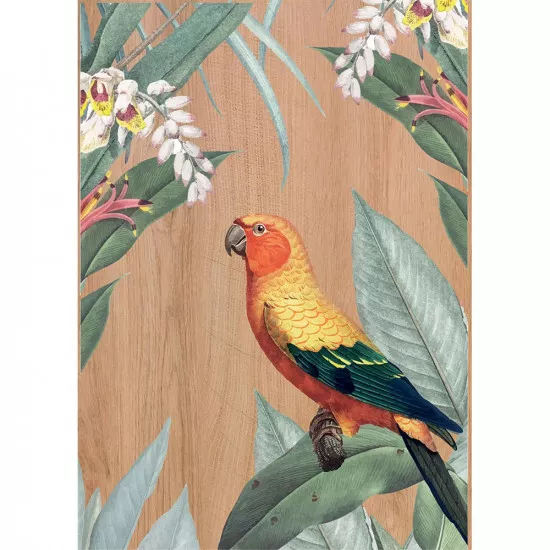 Multicolour Parrots πίνακας διακόσμησης ξύλου ML (21459)