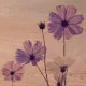 Violet Flower πίνακας διακόσμησης M (21362)