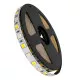 GloboStar® 70266 Ταινία LED SMD 5050 RGBW + WW 5in1 5m 18W/m 72LED/m 120° DC 24V IP20 1150lm/m Ψυχρό Λευκό 6000k & 1050lm/m Θερμό Λευκό 3000k & 900lm/m RGB