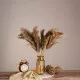 GloboStar® PAMPASGRASS 36544 Αποξηραμένο Φυτό Γρασίδι της Πάμπας - Μπουκέτο Διακοσμητικών Κλαδιών Μπεζ - Καφέ Υ60cm