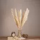 GloboStar® PAMPASGRASS 36507 Αποξηραμένο Φυτό Γρασίδι της Πάμπας - Μπουκέτο Διακοσμητικών Κλαδιών Μπεζ - Εκρού Υ80cm