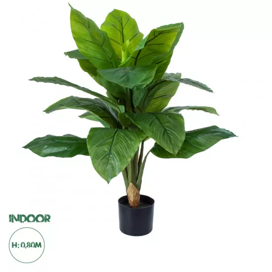 GloboStar® Artificial Garden ROHDEA JAPONICA 20068 Τεχνητό Διακοσμητικό Φυτό Ιαπωνέζικη Ροδέα Υ80cm