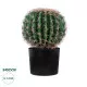 GloboStar® Artificial Garden FEROCACTUS 20091 Τεχνητό Διακοσμητικό Φυτό Φερόκακτος Υ36cm