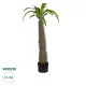GloboStar® Artificial Garden PACHYPODIUM LAMEREI PALM TREE 20129 Τεχνητό Διακοσμητικό Φυτό Φοίνικας της Μαγαδασκάρης Υ105cm