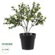 GloboStar® Artificial Garden BUXUS 20388 Τεχνητό Διακοσμητικό Φυτό Πυξός Υ30cm