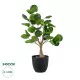 GloboStar® Artificial Garden POLYSCIAS SCUTELLARIA TREE 20424 Τεχνητό Διακοσμητικό Φυτό Πολυσκιά Υ50cm