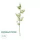 GloboStar® Artificial Garden BAMBOO BRANCH 20438 Τεχνητό Διακοσμητικό Κλαδί Μπαμπού Υ150cm