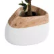 GloboStar® Artificial Garden PANDORA 20705 Επιδαπέδιο Πολυεστερικό Τσιμεντένιο Κασπώ Γλάστρα - Flower Pot Καφέ με Λευκό Μ60 x Π55 x Υ43cm