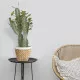 GloboStar® Artificial Garden NOTTING 20803 Διακοσμητικό Πολυεστερικό Τσιμεντένιο Κασπώ Γλάστρα - Flower Pot Μπεζ με Λευκό Φ20 x Υ16cm