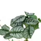 GloboStar® Artificial Garden HANGING ALOCASIA 20601 Τεχνητό Διακοσμητικό Κρεμαστό Φυτό Αλοκάσια Μ28 x Π27 x Υ50cm