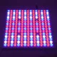 Φωτιστικό Ανάπτυξης Φυτών 100W 160° AC230V IP54  Θερμοκηπίου SMD 2835  Εσωτερικού Χώρου για Κάλυψη Επιφάνειας 1m x 1m  Πλήρους Φάσματος Φωτισμού Grow Light Panel Full Spectrum LED GloboStar® 85954 