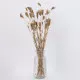GloboStar® WILDCARROT 36546 Αποξηραμένο Φυτό Άγριο Καρότο - Μπουκέτο Διακοσμητικών Κλαδιών Μπεζ Υ60cm