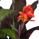 GloboStar® Artificial Garden CANNA INDICA 20209 Τεχνητό Διακοσμητικό Φυτό Ινδική Κάννα Υ160cm