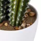 GloboStar® Artificial Garden CEREUS JAMACARU CACTUS 20094 Τεχνητό Διακοσμητικό Φυτό Κάκτος Κηρίος Υ53cm