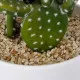 GloboStar® Artificial Garden OPUNTIA FICUS-INDICA CACTUS 20098 Τεχνητό Διακοσμητικό Φυτό Κάκτος Φραγκοσυκιά Υ64cm