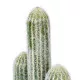 GloboStar® Artificial Garden ESPOSTOA CACTUS 20101 Τεχνητό Διακοσμητικό Φυτό Κάκτος Εσποστόα Υ58cm