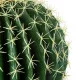 GloboStar® Artificial Garden FEROCACTUS 20191 Τεχνητό Διακοσμητικό Φυτό Φερόκακτος Υ50cm