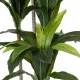 GloboStar® Artificial Garden DRACAENA SILK 20043 Τεχνητό Διακοσμητικό Φυτό Δράκαινα Υ130cm