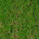 GloboStar® Artificial Garden BRYOPHYTA 20144 Τεχνητό Διακοσμητικό Πάνελ Φυλλωσιάς - Κάθετος Κήπος Βρύα Μ100 x Π100 x Υ3cm