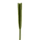 GloboStar® Artificial Garden SERENOA PALM LEAF 20173 Τεχνητό Διακοσμητικό Φύλο Φοινικόδεντρου Σερενόα Βεντάλια Π47 x Υ120cm