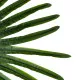 GloboStar® Artificial Garden SERENOA PALM LEAF 20174 Τεχνητό Διακοσμητικό Φύλο Φοινικόδεντρου Σερενόα Βεντάλια Π90 x Υ170cm