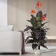GloboStar® Artificial Garden PARGA 20452 Πήλινο Κεραμικό Κασπώ Γλάστρα - Flower Pot Μπεζ Φ23cm x Υ20.5cm