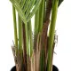 GloboStar® Artificial Garden ARECA PALM TREE 20420 Τεχνητό Διακοσμητικό Φυτό Φοινικόδεντρο Αρέκα Υ180cm